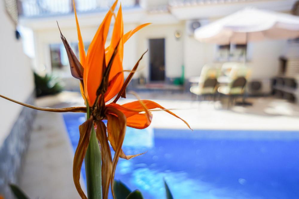 Villa Roan De Amberes Torrox Esterno foto